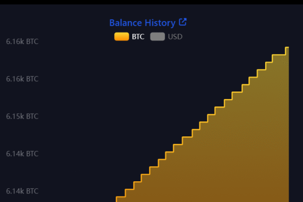 El Salvador adds Bitcoin, but is complying with IMF deal — Director